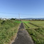 写真左側が売土地(外観)