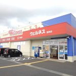 ウェルネス国府店まで1000ｍ